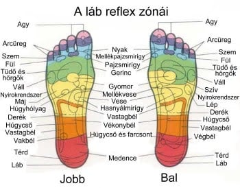 Talp zóna képe.